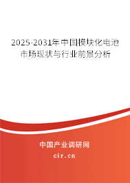 2025-2031年中國模塊化電池市場現狀與行業前景分析