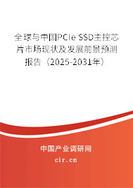 全球與中國(guó)PCIe SSD主控芯片市場(chǎng)現(xiàn)狀及發(fā)展前景預(yù)測(cè)報(bào)告（2025-2031年）