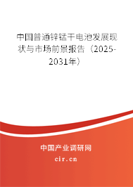 中國普通鋅錳干電池發展現狀與市場前景報告（2025-2031年）