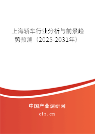 上海轎車行業分析與前景趨勢預測（2025-2031年）
