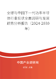 全球與中國下一代功率半導體行業現狀全面調研與發展趨勢分析報告（2024-2030年）