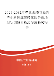 2025-2031年中國戰略性新興產業科技成果轉化服務市場現狀調研分析及發展趨勢報告