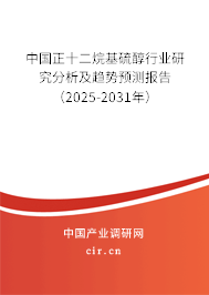 中國正十二烷基硫醇行業研究分析及趨勢預測報告（2025-2031年）