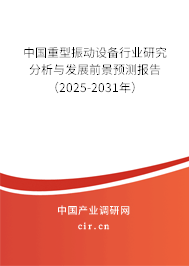 中國重型振動設備行業研究分析與發展前景預測報告（2025-2031年）