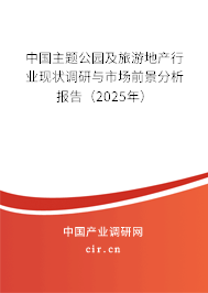 中國主題公園及旅游地產行業現狀調研與市場前景分析報告（2025年）