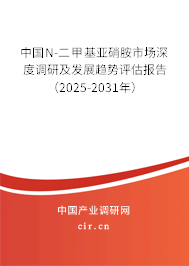中國N-二甲基亞硝胺市場深度調研及發展趨勢評估報告（2025-2031年）