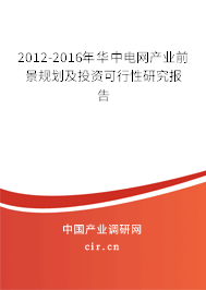 2012-2016年華中電網產業前景規劃及投資可行性研究報告