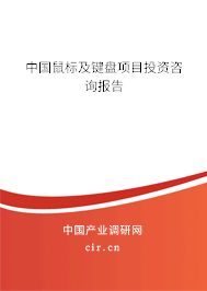 中國(guó)鼠標(biāo)及鍵盤(pán)項(xiàng)目投資咨詢報(bào)告