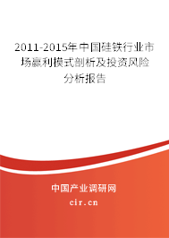 2011-2015年中國硅鐵行業(yè)市場贏利模式剖析及投資風(fēng)險分析報告