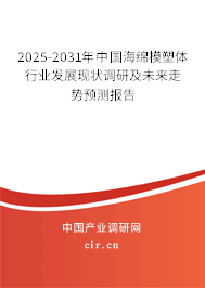 2025-2031年中國海綿模塑體行業(yè)發(fā)展現(xiàn)狀調(diào)研及未來走勢預(yù)測報告