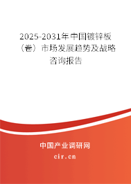 2023-2029年中國鍍鋅板（卷）市場發展趨勢及戰略咨詢報告