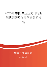 2023年中國中壓壓力計行業現狀調研及發展前景分析報告 2023年中國中壓壓力計行業現狀調研及發展前景分析報告