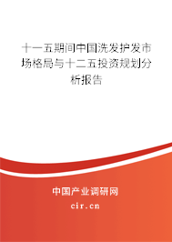 十一五期間中國洗發護發市場格局與十二五投資規劃分析報告