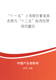 “十一五”上海餐飲業發展態勢與“十二五”投資前景研究報告