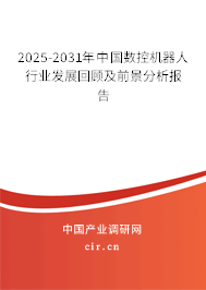 2025-2031年中國數(shù)控機(jī)器人行業(yè)發(fā)展回顧及前景分析報(bào)告