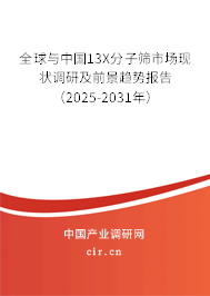 全球與中國13X分子篩市場現狀調研及前景趨勢報告（2025-2031年）