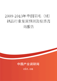 2009-2013年中國羽毛（絨）制品行業發展預測及投資咨詢報告