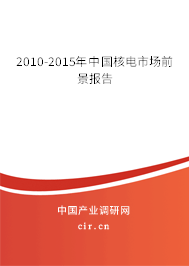 2010-2015年中國核電市場前景報(bào)告
