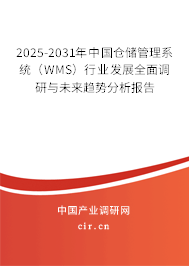2025-2031年中國倉儲管理系統（WMS）行業發展全面調研與未來趨勢分析報告