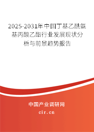 2025-2031年中國丁基乙酰氨基丙酸乙酯行業(yè)發(fā)展現(xiàn)狀分析與前景趨勢報(bào)告