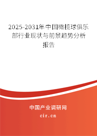 2024-2030年中國橄欖球俱樂部行業(yè)現(xiàn)狀與前景趨勢分析報告