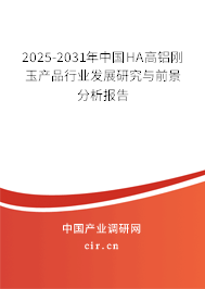 2025-2031年中國HA高鋁剛玉產品行業發展研究與前景分析報告
