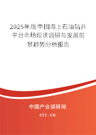 2025年版中國海上石油鉆井平臺市場現狀調研與發展前景趨勢分析報告