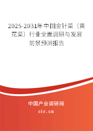 2025-2031年中國金針菜（黃花菜）行業全面調研與發展前景預測報告