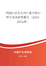 中國(guó)井式真空爐行業(yè)市場(chǎng)分析與發(fā)展趨勢(shì)報(bào)告（2025-2031年）