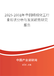 2025-2031年中國精細化工行業現狀分析與發展趨勢研究報告