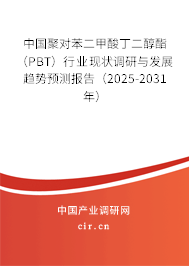 中國聚對苯二甲酸丁二醇酯（PBT）行業現狀調研與發展趨勢預測報告（2025-2031年）