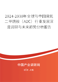 2024-2030年全球與中國偶氮二甲酰胺（ADC）行業發展深度調研與未來趨勢分析報告