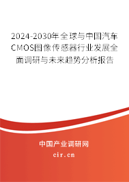 2024-2030年全球與中國汽車CMOS圖像傳感器行業發展全面調研與未來趨勢分析報告