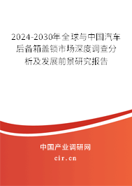 2024-2030年全球與中國汽車后備箱蓋鎖市場深度調查分析及發展前景研究報告
