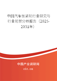 中國汽車張緊輪行業研究與行業前景分析報告（2025-2031年）