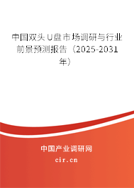 中國雙頭U盤市場調研與行業前景預測報告（2025-2031年）