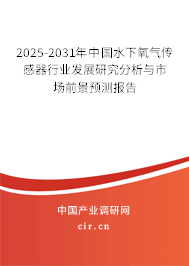 2025-2031年中國水下氧氣傳感器行業發展研究分析與市場前景預測報告