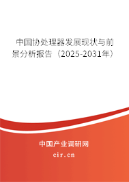 中國協(xié)處理器發(fā)展現(xiàn)狀與前景分析報(bào)告（2025-2031年）