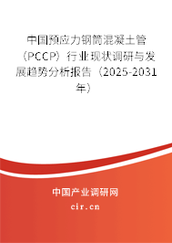 中國預應力鋼筒混凝土管（PCCP）行業現狀調研與發展趨勢分析報告（2025-2031年）