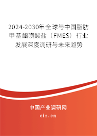 2024-2030年全球與中國脂肪甲基酯磺酸鹽（FMES）行業發展深度調研與未來趨勢
