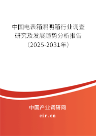 中國電表箱照明箱行業(yè)調(diào)查研究及發(fā)展趨勢分析報告（2025-2031年）