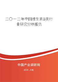 二〇一二年中國維生素B類行業研究分析報告