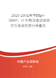 2025-2031年中國pH（ORP）計市場深度調查研究與發展前景分析報告