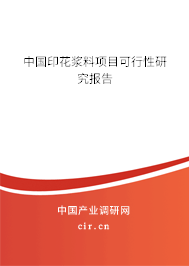 中國印花漿料項目可行性研究報告