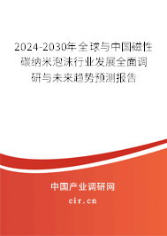 2024-2030年全球與中國磁性碳納米泡沫行業發展全面調研與未來趨勢預測報告