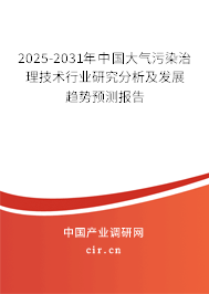2025-2031年中國大氣污染治理技術行業研究分析及發展趨勢預測報告
