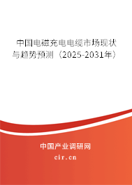 中國電磁充電電纜市場現狀與趨勢預測（2025-2031年）