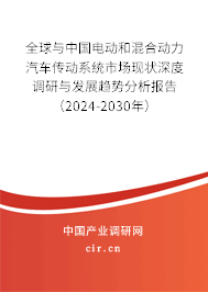 全球與中國電動和混合動力汽車傳動系統市場現狀深度調研與發展趨勢分析報告（2024-2030年）