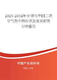 2025-2031年全球與中國二次空氣泵市場現狀及發展趨勢分析報告