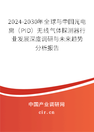 2024-2030年全球與中國光電離（PID）無線氣體探測器行業發展深度調研與未來趨勢分析報告